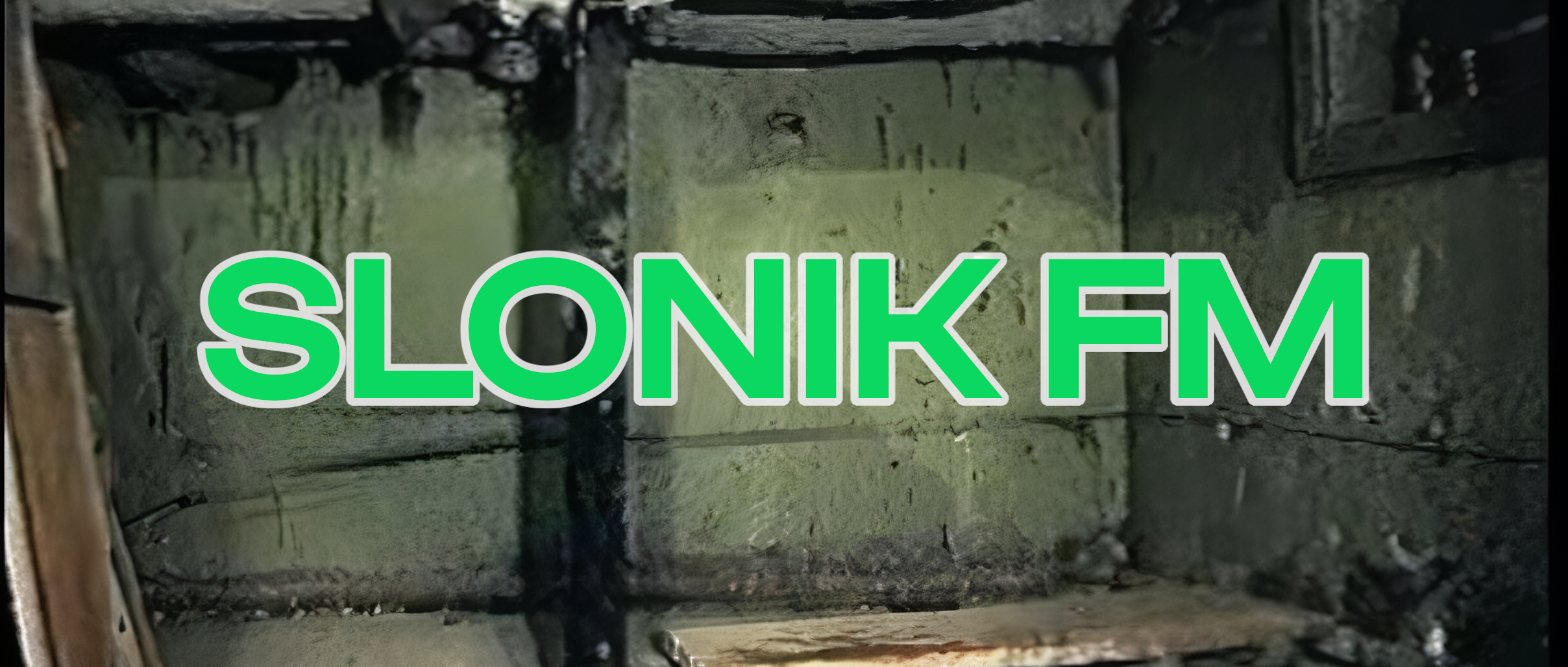 Slonik FM